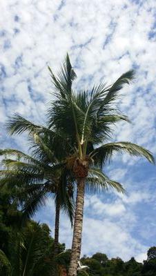 ArmandoBruni2's profile picture. 