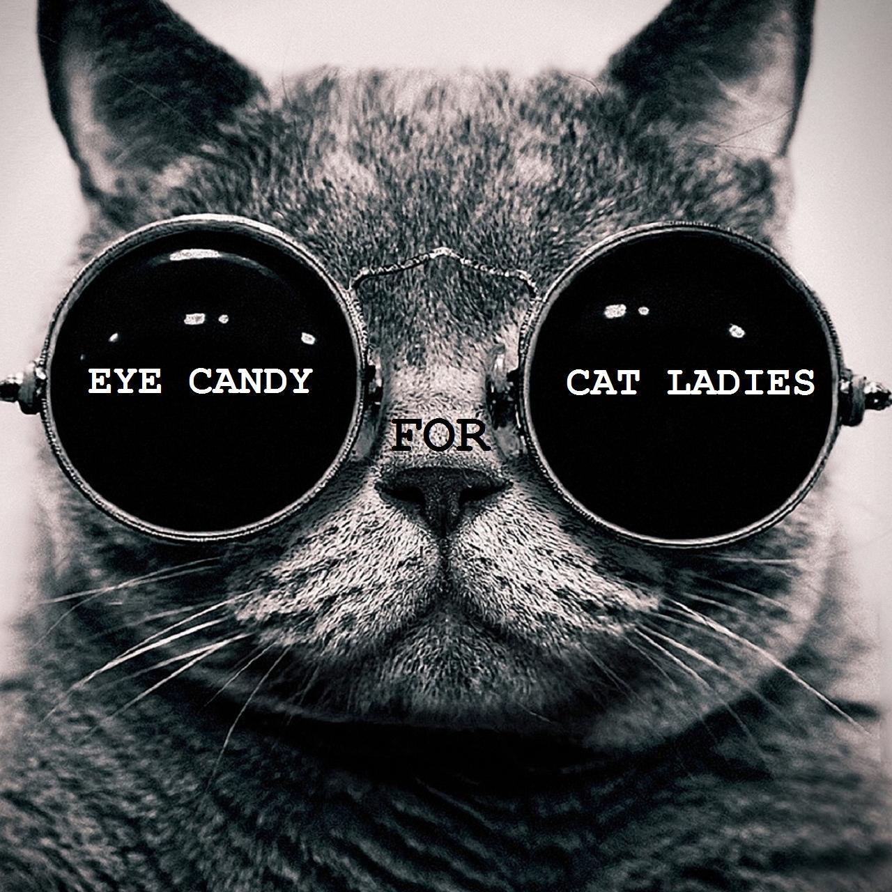 Cats and Memes • Comfy Sweaters, Galaxy #Cats, #Yarn.. Official Twitter for parody cat content #YouTube channel: 'Eye Candy for Cat Ladies' • ♡