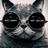 CatLadyEyeCandy's profile image