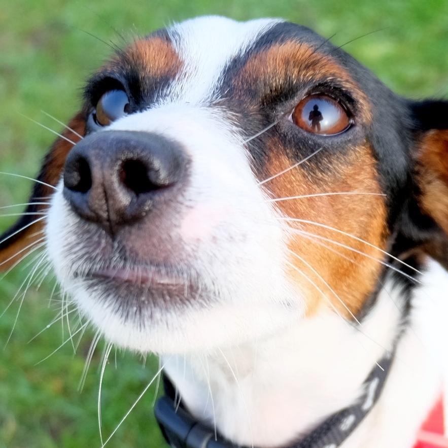 ljfchaston's profile picture. 