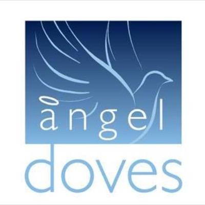 Angel Doves provide highly trained white doves for display and release at weddings, funerals, memorials and other special occasions.