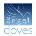 Angel Doves (@angel__doves) Twitter profile photo
