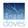 Angel__Doves's profile picture. Angel Doves provide highly trained white doves for display and release at weddings, funerals, memorials and other special occasions.