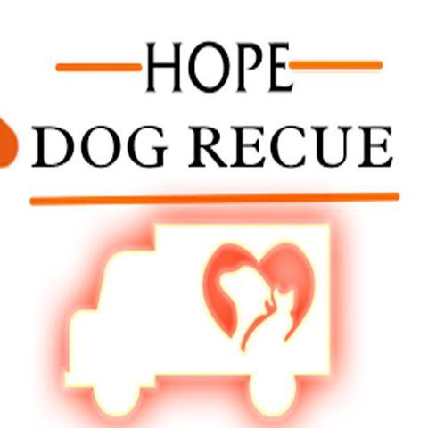 Hope_For_Paws's profile picture. 