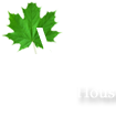 Vashist group started there manufacturing unit under the guidence of mr satpal vashist (chairman) .