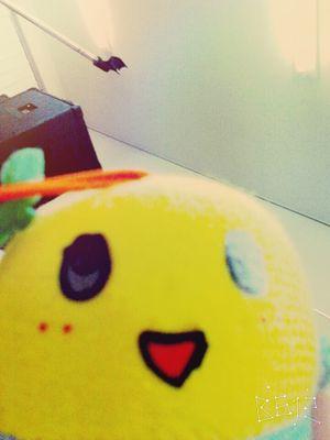 ふなっしーが大好き！                                                                        ふなっしーが好きな方follow  meσ(´∀ ｀●)