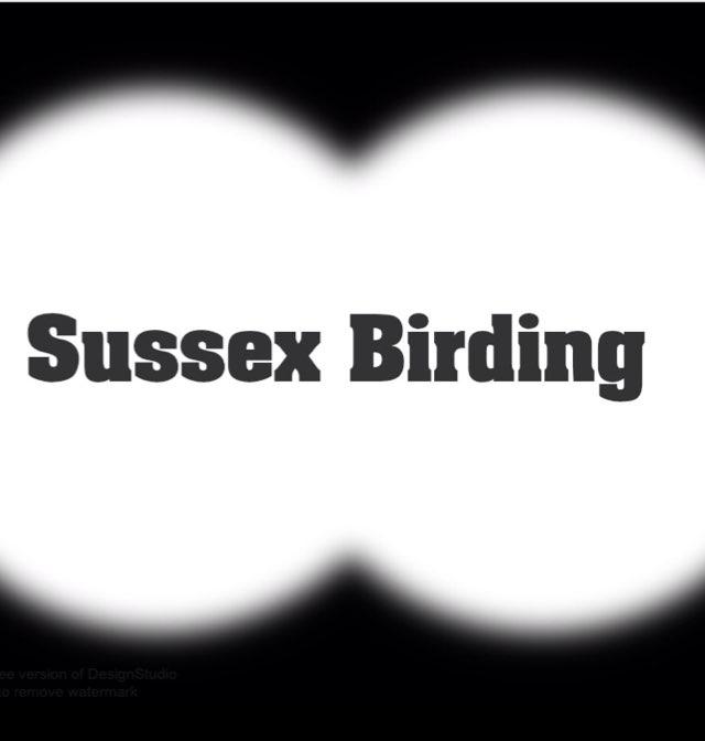 This is the place to share all your news,sightings and photos of birds in and around the sussex area.