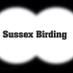 Sussex Birding (@sussexbirding) Twitter profile photo Sussex Birding (@sussexbirding) Twitter profile photo
