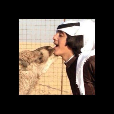 ok16JbLCOV5aApb's profile picture. احنا اهل الابل حنا