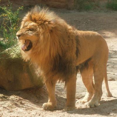 ليس مايتمناه المرء يدركه......تجري الرياح بما لاتشتهي السفن