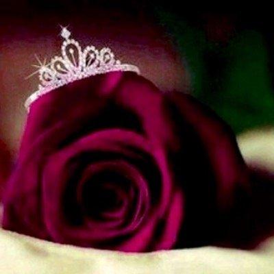 shab_mftone Profile Picture