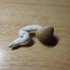 藤陰高校情報経済科