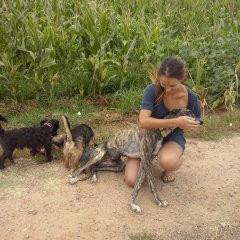 casi abogada animalista! activista y vegetariana! defensora de todos los animales y luchadora nata x los sin VOZ