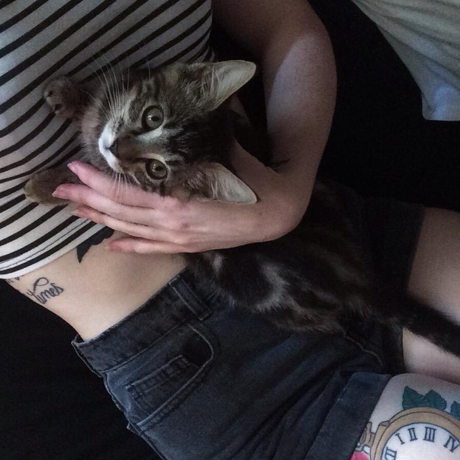 Danseuse pro, #Yoga #FlyYoga spécialiste. Many #Tattoos. J'essaye d'être cool en mettant des dièses. #Chats #Corgi Franco-américaine débarquée à Paris.