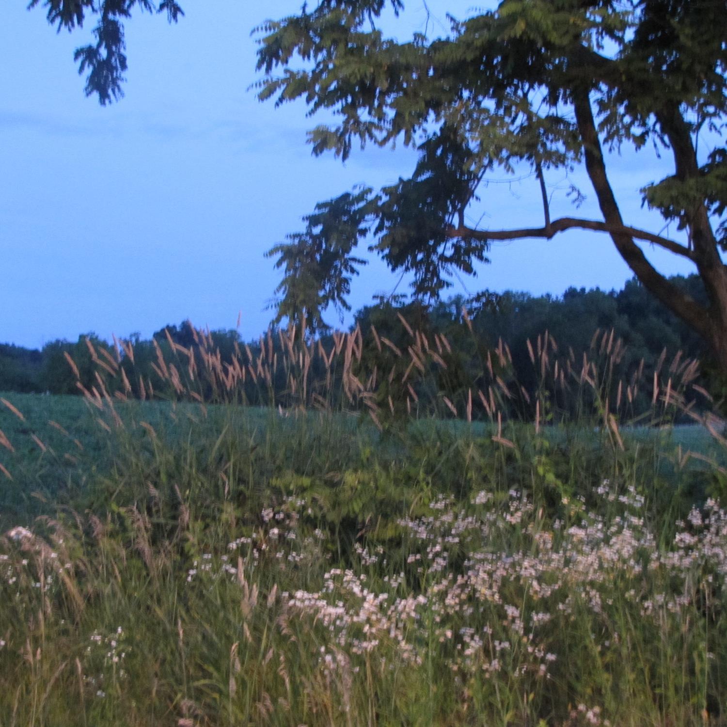 gardengirl412's profile picture. 