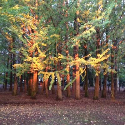 wnt2change's profile picture. 忘備録・アラフォー気持ちのアウトプット・ワーキングマザー・ミニマルに行きたいが全然できなーい・