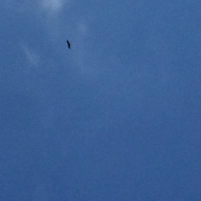 JohnhardyJohn's profile picture. manchester born, birmingham raised, 36 years young