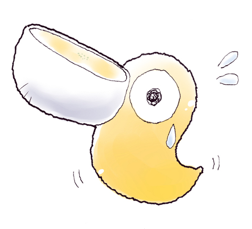 gratinbird Profile Picture