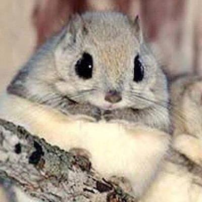 軽めの腐 成人済 マヨネーズはキューピー一択！無言フォロー多めですが、許してください...