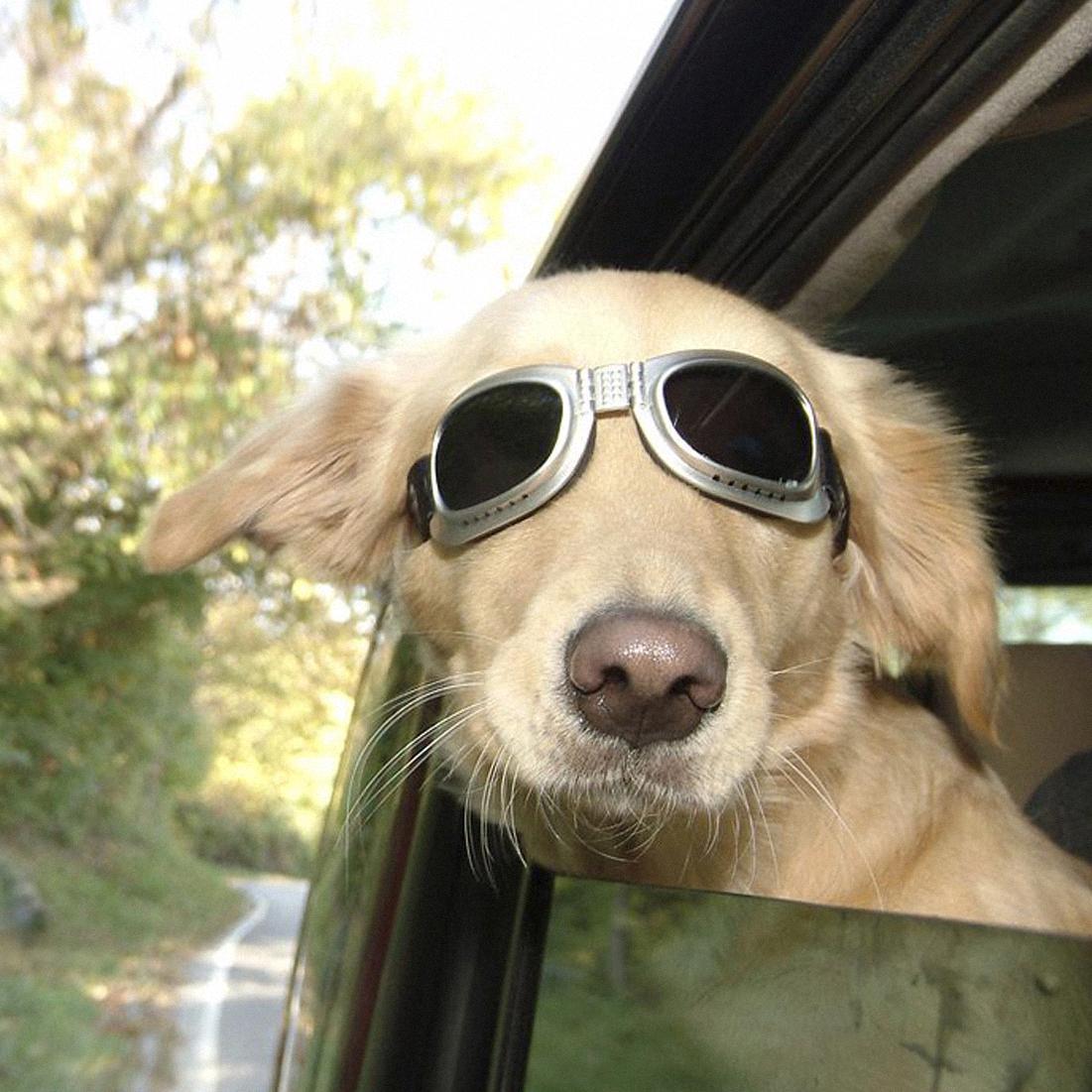 life is to be enjoyed, isn't it?