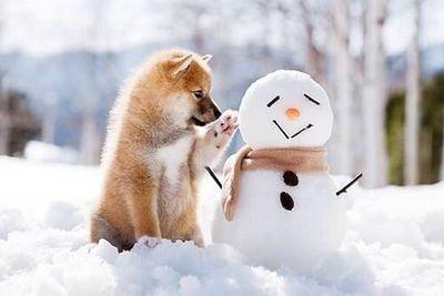 tomato_917's profile picture. 