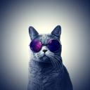 Moon Lam - @moonlamly - Twitter