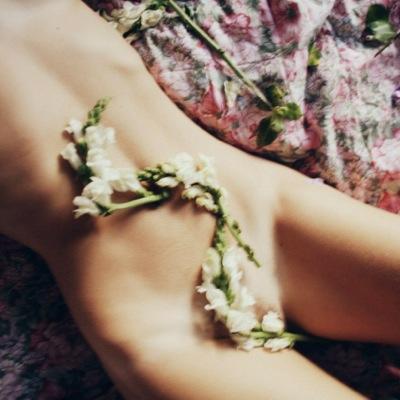 lilglowworm's profile picture. Ш