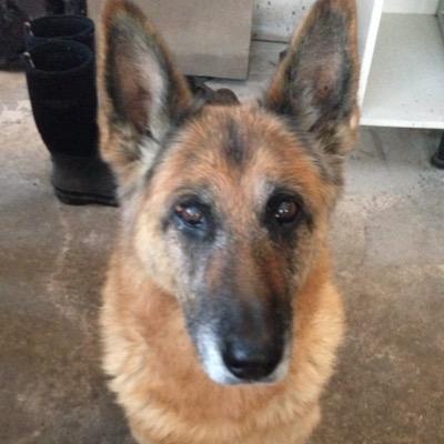 armstrong_mick's profile picture. 