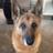 armstrong_mick's profile image
