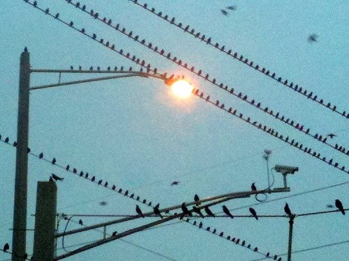 Sun, Fun and Creating Success in South Florida.  Social Media Butterflies Helping others grow their business every day...