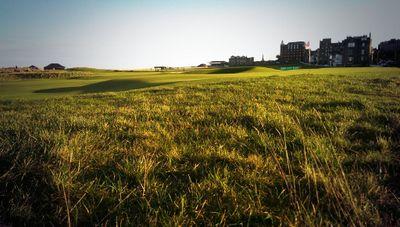 Deputy Course Manager - The Old Course, St.Andrews.

All views expressed are my own.