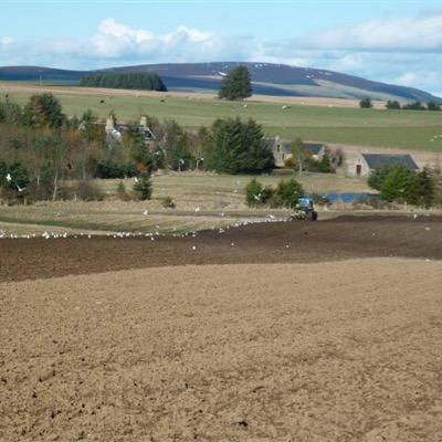 Soil, soul and agriculture. Updates about new book 'The Landscape Below' by @BruceCBall, published by Wild Goose Publications (@IonaCommunity).
