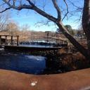 Pamela Kay Windsor - @WindsorPamela - Twitter