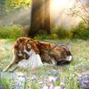 nina drew - @NinadrewDrew - Twitter