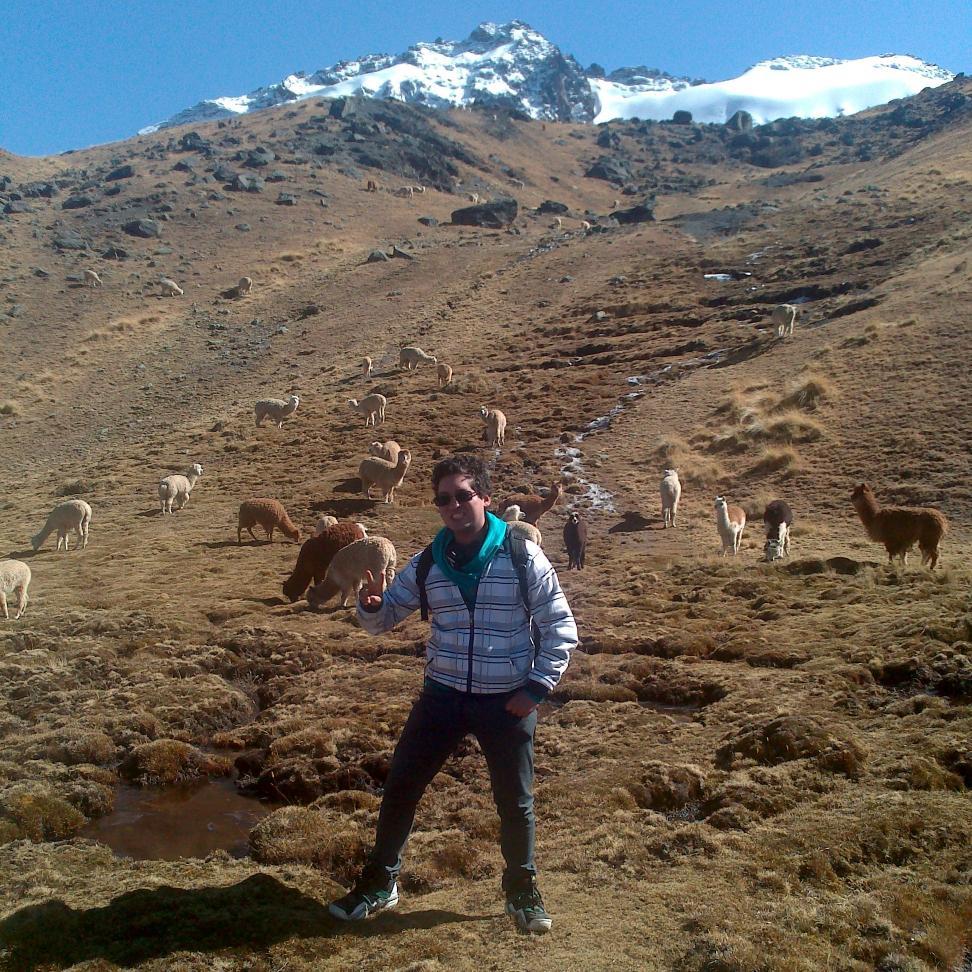 RevolloLoayza's profile picture. 