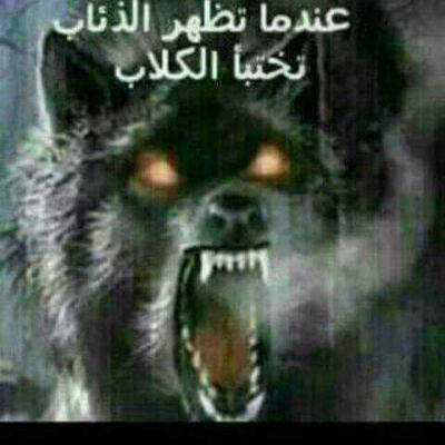 MohamedSaker123's profile picture. 