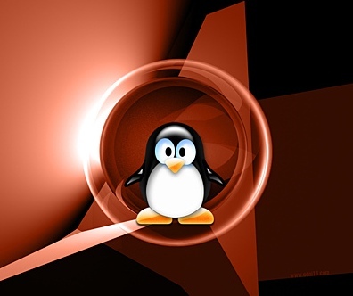 Web Hosting, Domains, Tech Support, Web Design