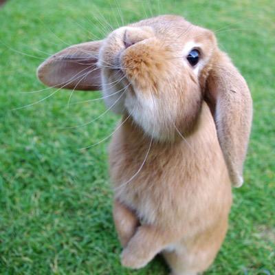 Fashionblog031's profile picture. photo / music / love ❤️