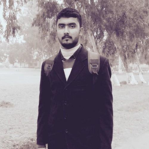 Electronic Engineer