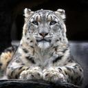 paul mcgrew - @coolguytwittwer - Twitter