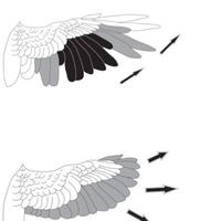 MoltPapers (@moltpapers) 's Twitter Profile Photo