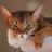 HasaniPtah's profile image