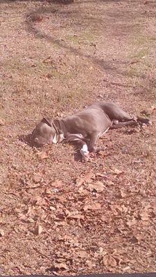 afink55's profile picture. 