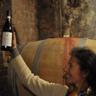 Gabspalli's profile picture. former producer of Barolo,Chardonnay, Pinot noir