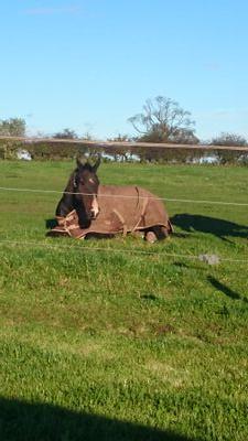 ahmcgregor90's profile picture. 