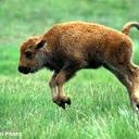 Tim Cosgrove - @cozer1970 - Twitter