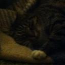 Thomas field - @Thomas_Field02 - Twitter