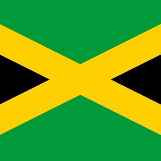 I am a Jamaican e-gov Twitter BOT. Allow you to check where you are registered to vote in JA