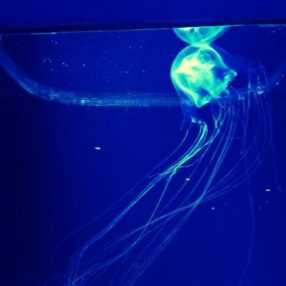 naka5001's profile picture. THE YELLOW MONKY🐒黒夢🎙️SLAM DUNK🏀の続きを書いてる「Kの部屋」✒️趣味の🏠 DIY🛠️とたまに日常もあるかもです。