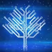 MikelPere's profile picture. 